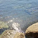Tanca Della Torre Trilocale Vista Mare * Isola Rossa (Sassari)