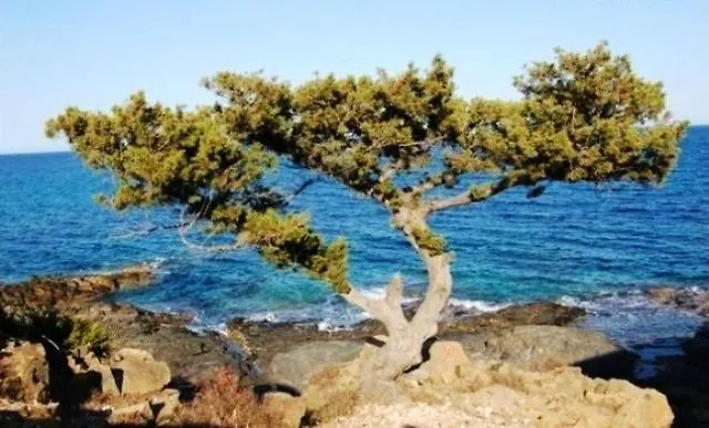 Tanca Della Torre Trilocale Vista Mare *