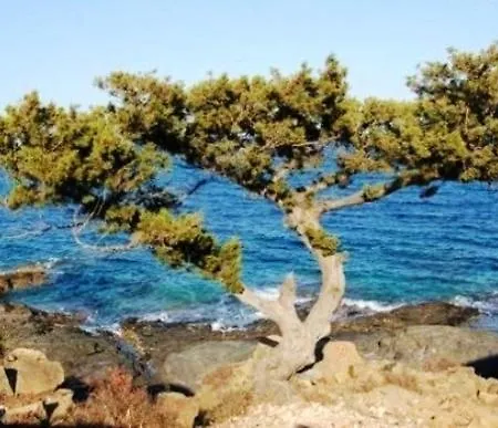 Casaantonella - Casa Vacanze A Isola Rossa *